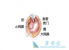 ��α������Ű��ķ��������Ű�֢״����Щ����