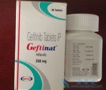 ����ɳ(Iressa)�Է��ٰ���Ч�ʸ��������ǲ����̵�Ů�Ի���