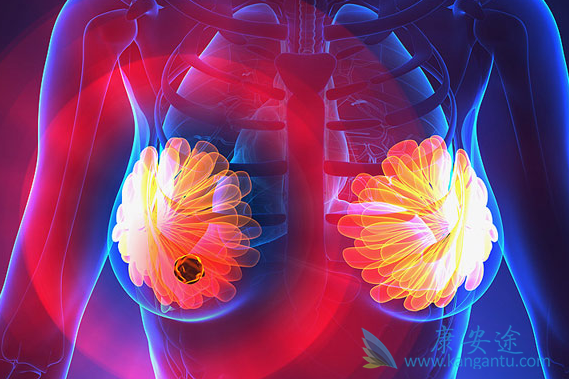 帕博西尼 帕博西尼