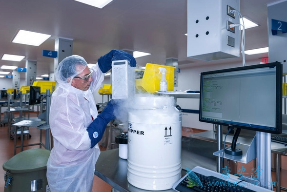 CAR-T疗法 CAR-T疗法