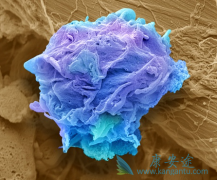 CAR-Tϸ���Ʒ���δ�������Դ�Bϸ���ܰ��������Ʒ���