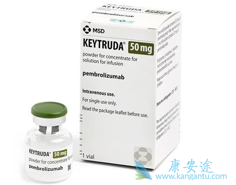 PD-1抗体 PD-1抗体