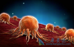 ��֢�����ܻ��ã����Ԥ���ð�֢