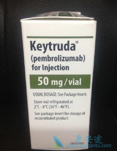 PD-1抑制剂 PD-1抑制剂