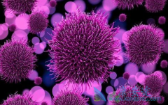 ���Ա��ο��������������еı�����ҩ����Ч����ô����