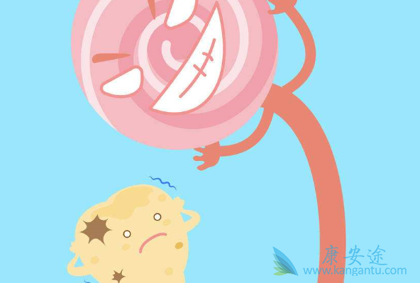 ���͸���