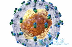 ���ο���ת������δ�Ⱦ�𣿱�����ô��Ⱦ�ģ�