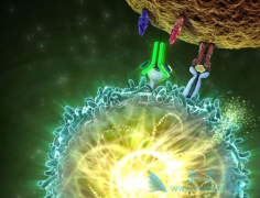 PD-1���Ƽ���ķ����(pembrolizumab)ʹ�÷�����ע������