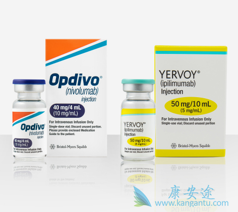 纳武单抗 纳武单抗