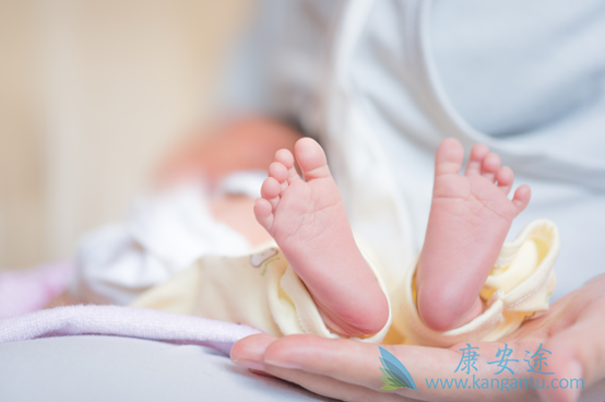 试管婴儿 试管婴儿