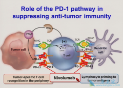 ���߼������Ƽ��Ǹ�ϸ�����������������Ʒ���