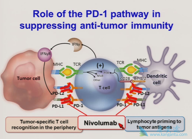 ���߼������Ƽ�