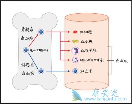 ��Ѫ��������֢״