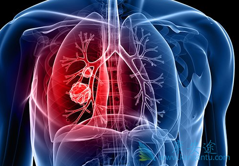 ����ҽ��