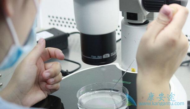 试管婴儿 试管婴儿