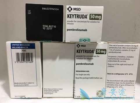 ��ɫ����