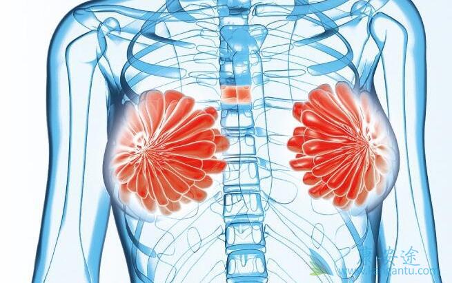 妇科癌症 妇科癌症