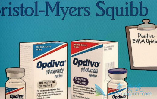 PD-1抑制剂 PD-1抑制剂