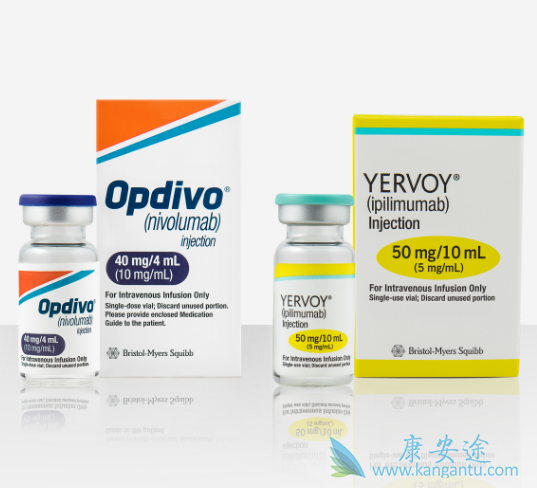 免疫检查点抑制剂 免疫检查点抑制剂