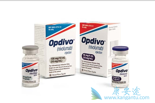 肿瘤突变负荷 肿瘤突变负荷