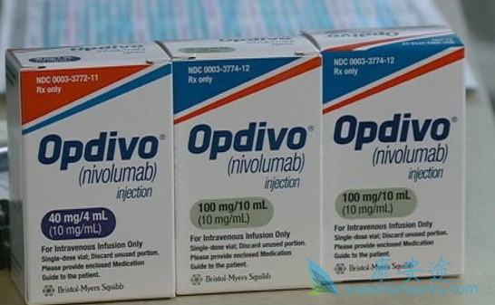 PD-1抑制剂 PD-1抑制剂