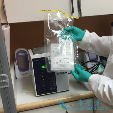 CAR-T细胞 CAR-T细胞