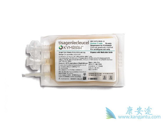 CAR-T疗法 CAR-T疗法