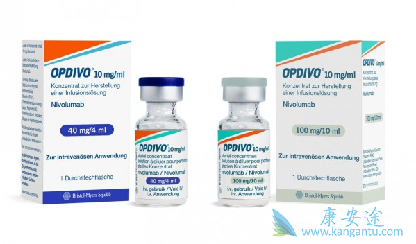 PD-1抑制剂 PD-1抑制剂