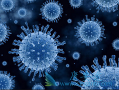 �Ҹβ���Я���߻�øΰ��͸�Ӳ����