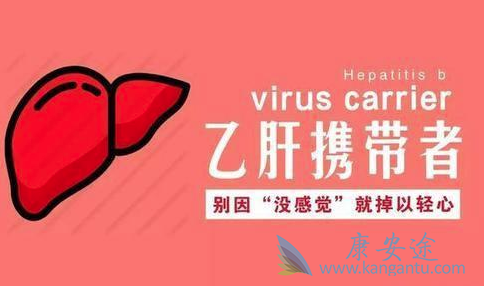 乙肝病毒携带者 乙肝病毒携带者