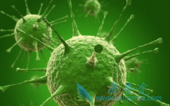 �Ҹβ���Я������Ҫ���������ô��