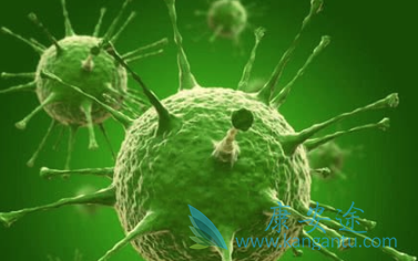 乙肝病毒携带者 乙肝病毒携带者