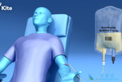 CAR-Tϸ���Ʒ���������ѧ����򹤳�����ǿ��������ϸ��