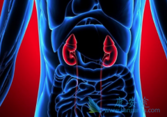 �ճ��������Ҹβ���Я���ߴ�Ⱦ��