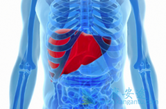 �Ҹβ���Я���߻ᴫȾ���Ҹδ�Ⱦ��ʽ����Щ