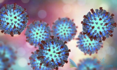 ʲô���Ҹβ���Я���ߣ��Ҹκ��Ҹβ���Я���ߵ�����