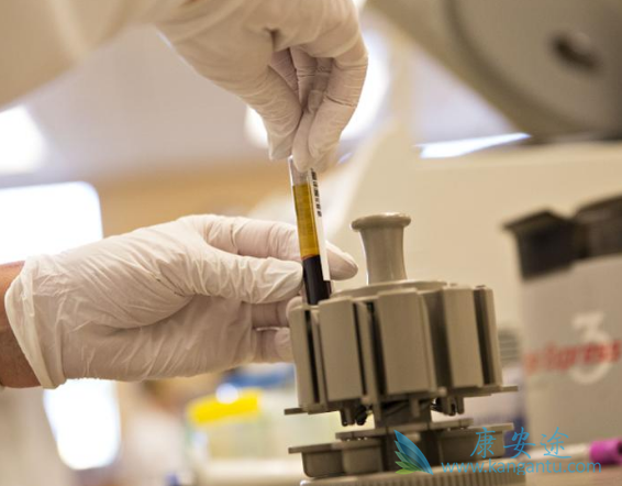 ϸ�����ӷ籩