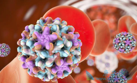 什么是乙肝病毒携带者 什么是乙肝病毒携带者