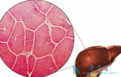 �Ҹβ�������;�����ļ��ִ�Ⱦ��ʽ