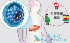 �����е��Ҹβ�������;�����ļ���