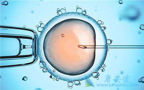 试管婴儿移植前注意事项 试管婴儿移植前注意事项
