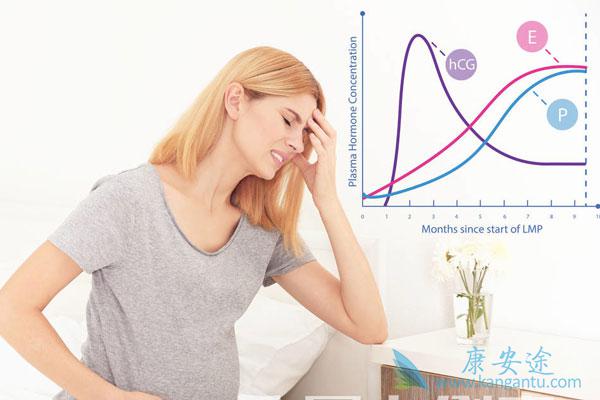 试管婴儿 试管婴儿