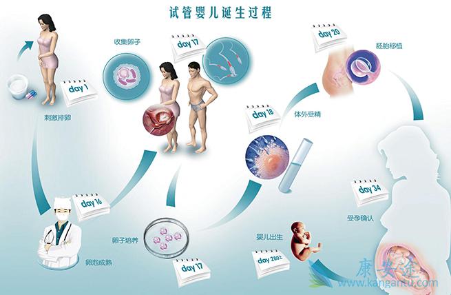 试管婴儿移植前注意事项 试管婴儿移植前注意事项