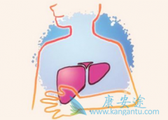 �Ҹβ���Я���������������ܽ����