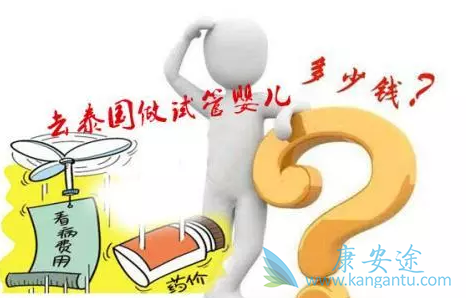 泰国试管婴儿价格 泰国试管婴儿价格