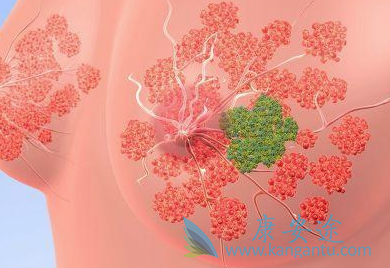 ���ٰ��ڷ�������