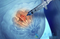 ���ٰ�����ʲôʱ���ܹ��о�����