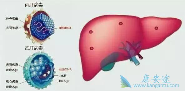 丙肝治疗 丙肝治疗