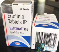 EGFR���Էΰ����߸�����������/���޿�������Ч��