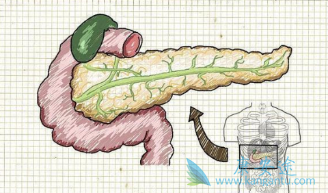 ���ٰ�������